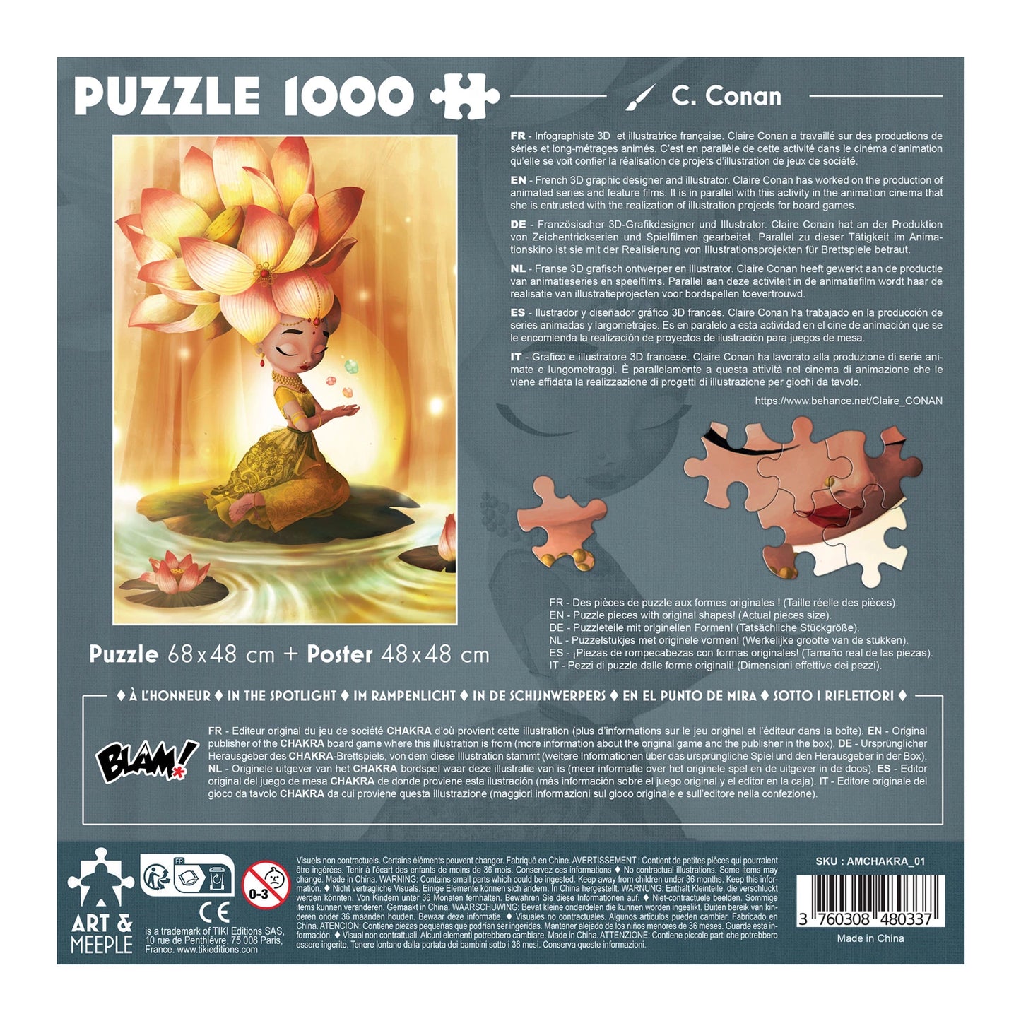 PUZZLE ART&MEEPLE: CHAKRA 1000 PEZZI