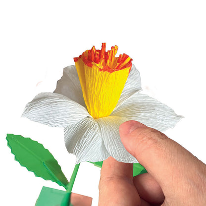 CRÉE TON KIT DE FLEURS – NARCISSE – CLEMENTONI 🔶