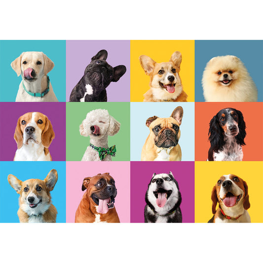 PUZZLE CHIENS – 300 PIÈCES – CLEMENTONI 🔶