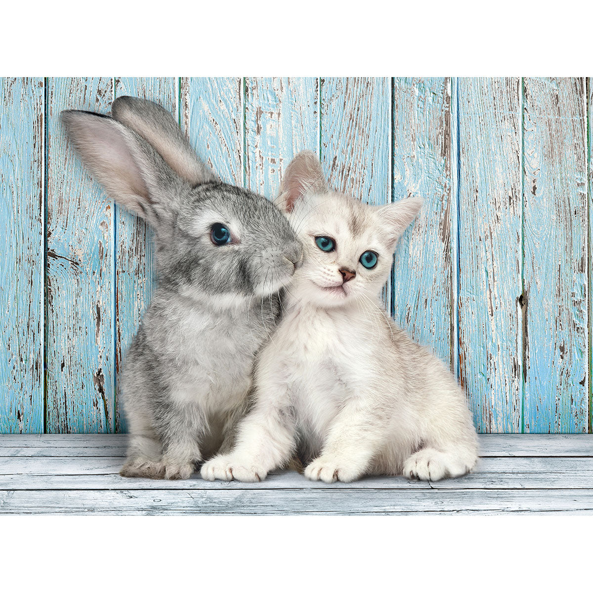 PUZZLE CHAT ET LAPIN – 500 PIÈCES – CLEMENTONI 🔶