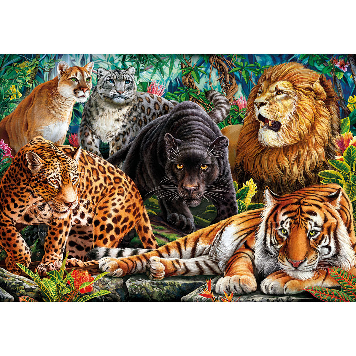PUZZLE CHATS SAUVAGES – 500 PIÈCES – CLEMENTONI 🔶