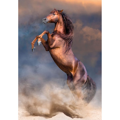 PUZZLE ÉTALON ROUGE SAUVAGE – 500 PIÈCES – CLEMENTONI 🔶