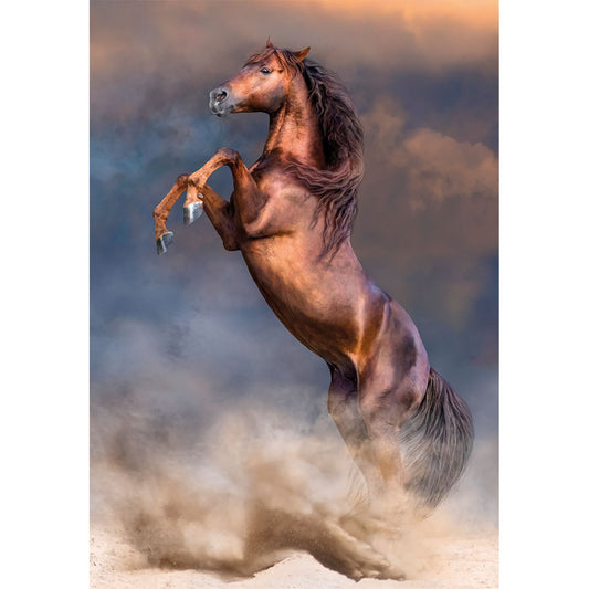 PUZZLE ÉTALON ROUGE SAUVAGE – 500 PIÈCES – CLEMENTONI 🔶