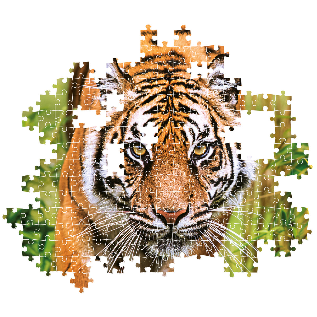 PUZZLE TIGRE 1000 PIÈCES – CLEMENTONI