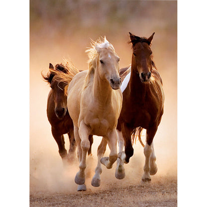 PUZZLE CHEVAUX – 1000 PIÈCES – CLEMENTONI 🔶