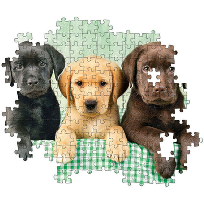 PUZZLE 3 LABRADOR – 1000 PIÈCES – CLEMENTONI 🔶