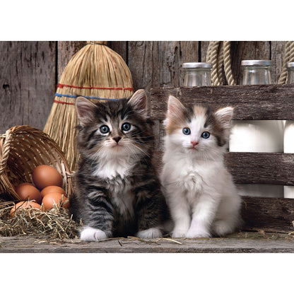 PUZZLE CHATON – 1000 PIÈCES – CLEMENTONI 🔶
