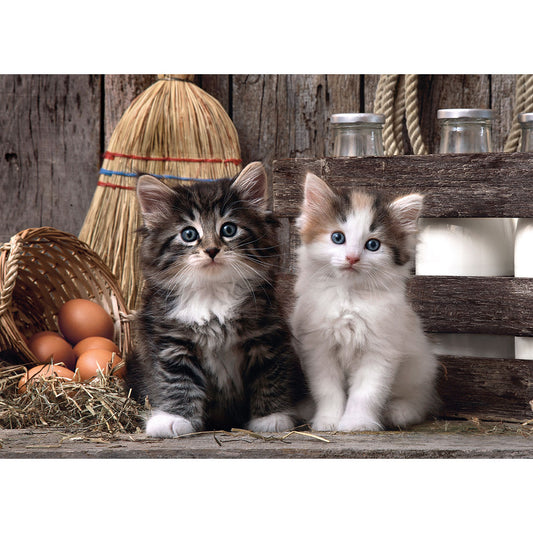 PUZZLE CHATON – 1000 PIÈCES – CLEMENTONI 🔶