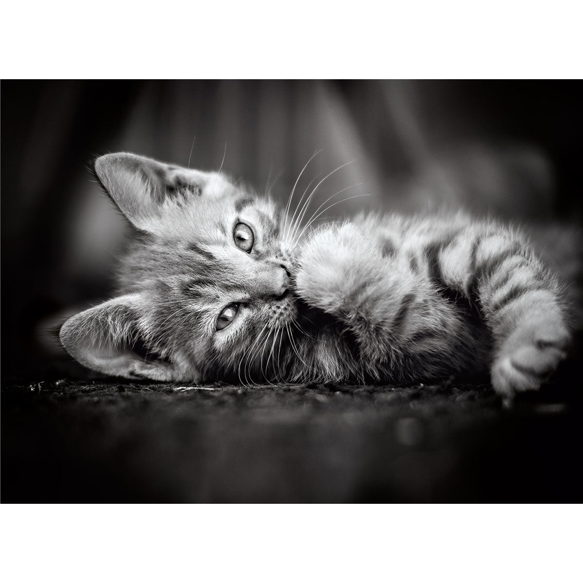 PUZZLE KITTY LE CHAT – 1000 PIÈCES – CLEMENTONI 🔶