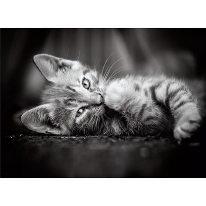 PUZZLE KITTY LE CHAT – 1000 PIÈCES – CLEMENTONI 🔶