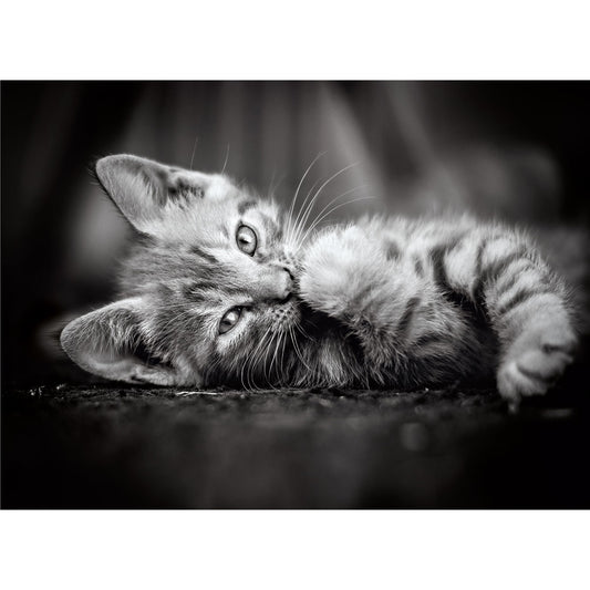 PUZZLE KITTY LE CHAT – 1000 PIÈCES – CLEMENTONI 🔶