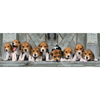PUZZLE PANORAMIQUE CHIENS BEAGLE – 1000 PIÈCES – CLEMENTONI 🔶