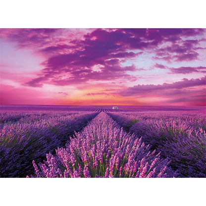 PUZZLE LAVANDE – 1000 PIÈCES – CLEMENTONI 🔶