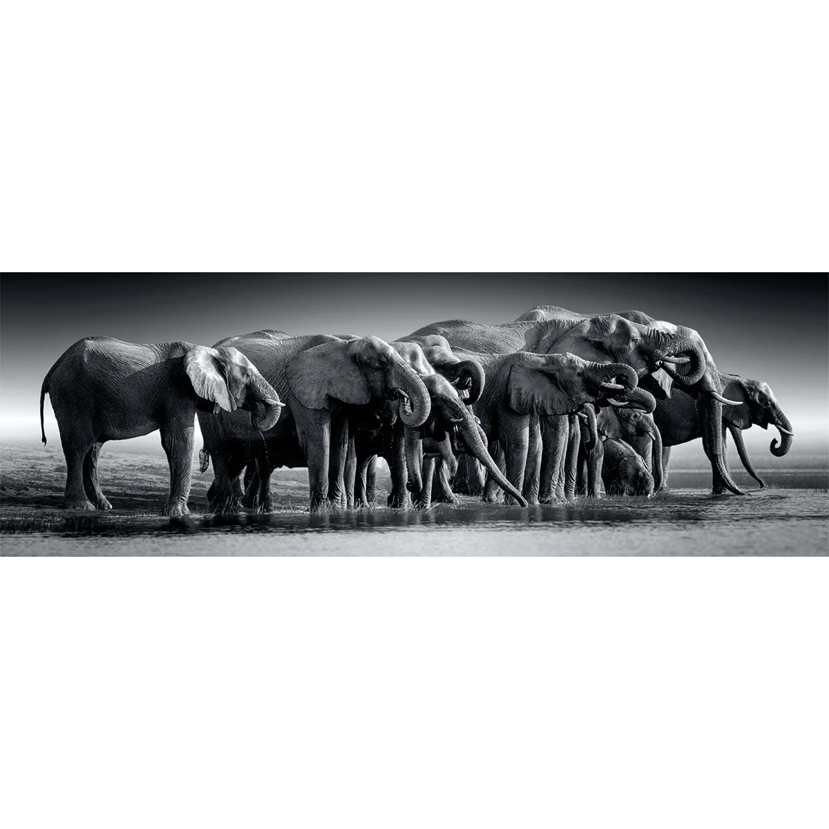 PANORAMA PUZZLE BRANCAGLIA DI GIGANTI – 1000 PIÈCES – CLEMENTONI 🔶