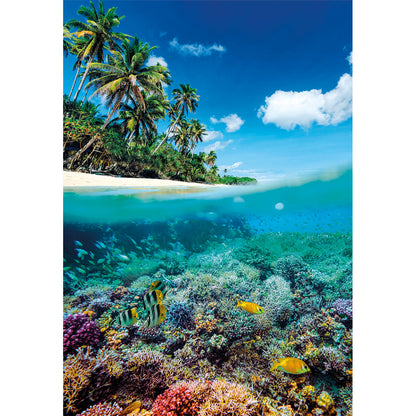 PUZZLE PARADIS ESTIVAL – 1000 PIÈCES – CLEMENTONI 🔶