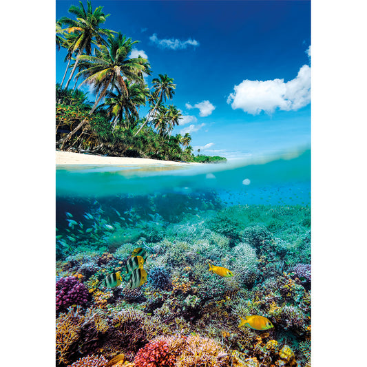 PUZZLE PARADIS ESTIVAL – 1000 PIÈCES – CLEMENTONI 🔶