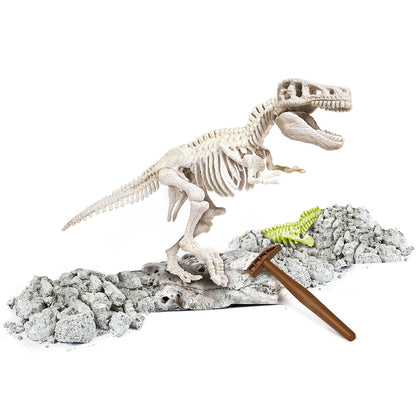 ARCHEO LUDIC LEUCHTENDER T-REX – CLEMENTONI - FRA 🇫🇷 🔶