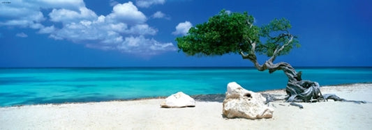 DIVI DIVI TREE PANORAMA 1000 PIÈCES