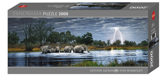 VUE D'ENSEMBLE DU TROUPEAU D'ÉLÉPHANTS 2000 PIÈCES