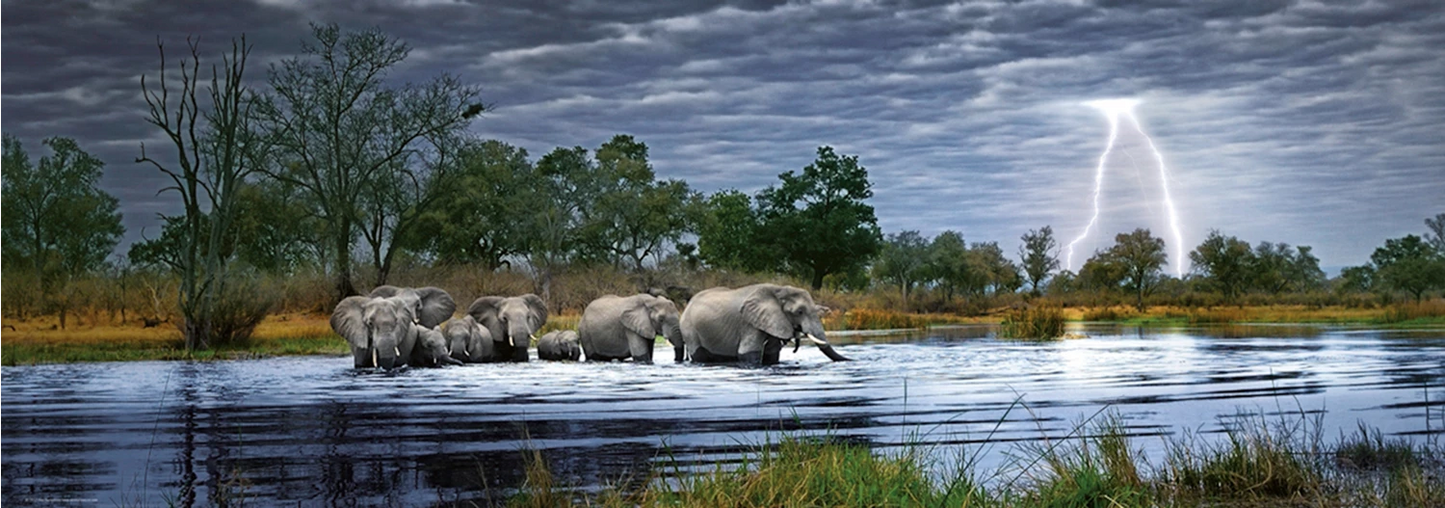 VUE D'ENSEMBLE DU TROUPEAU D'ÉLÉPHANTS 2000 PIÈCES