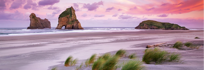 PUZZLE DE LA PLAGE DE WHARARIKI 1000 PIÈCES