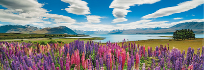 PANORAMA DU LAC TEKAPO 1000 PIÈCES