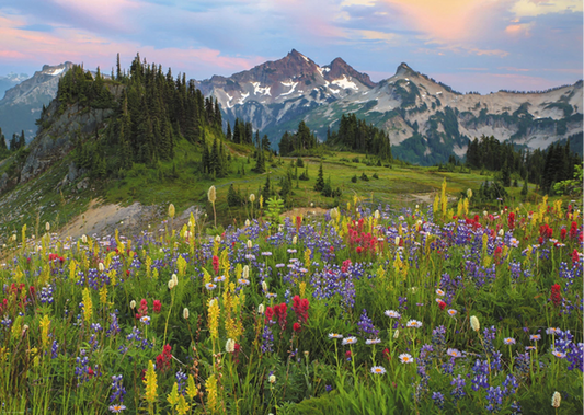 TATOOSH MOUNTAINS STANDARD 2000 PEZZI