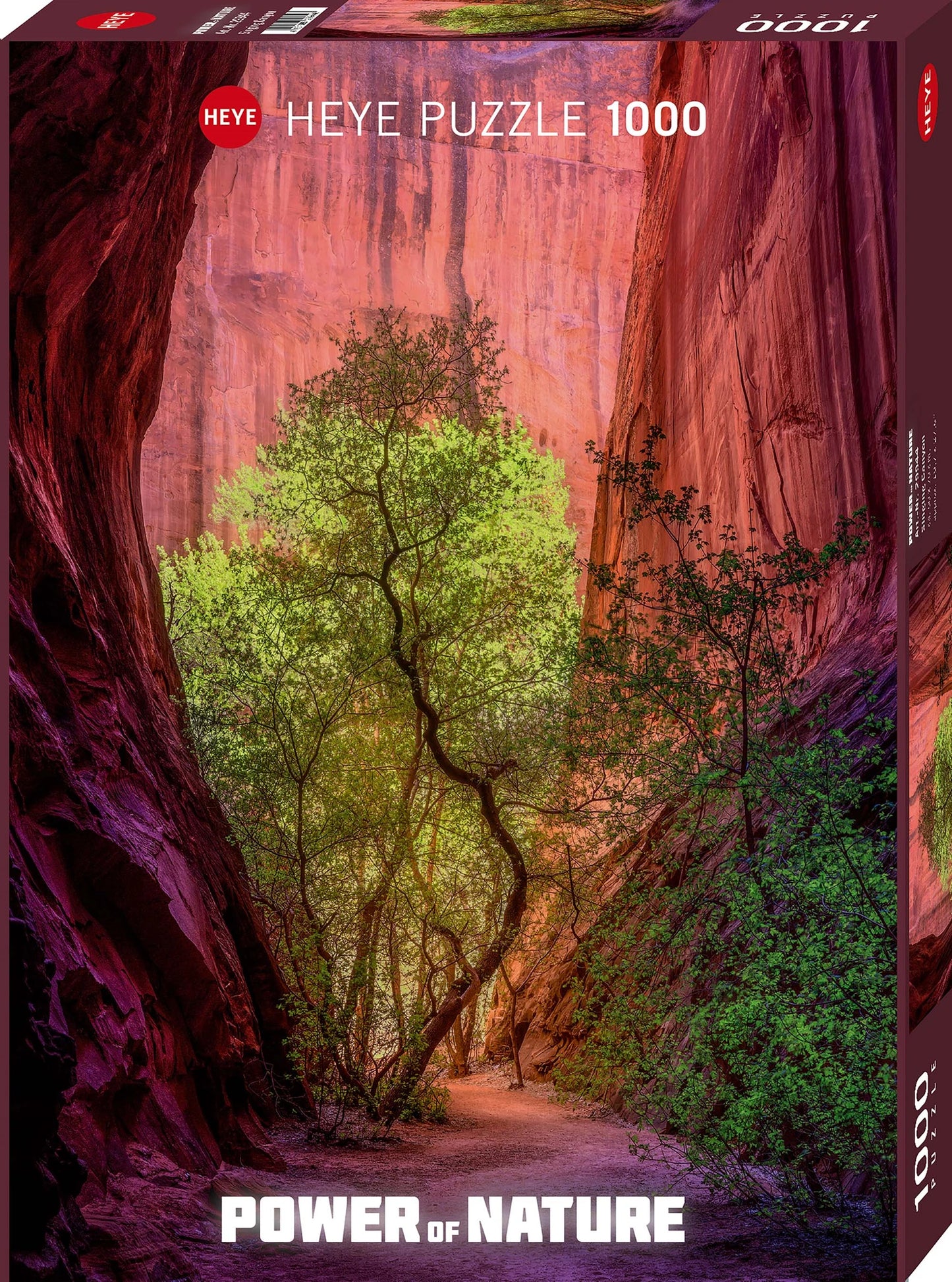SINGING CANYON STANDARD 1000 PIÈCES