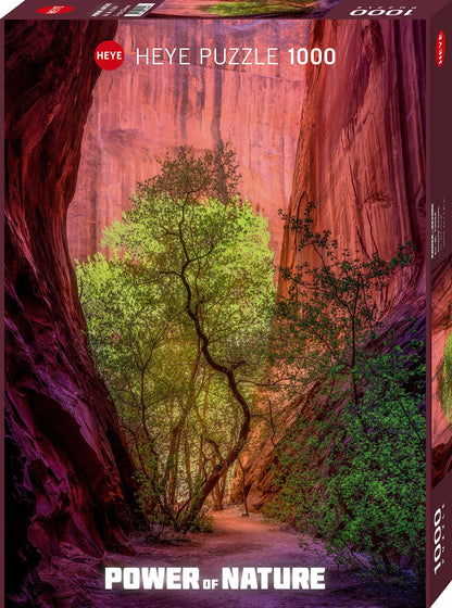 SINGING CANYON STANDARD 1000 PIÈCES