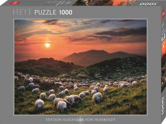 Moutons et Volcans Standard 1000 pièces