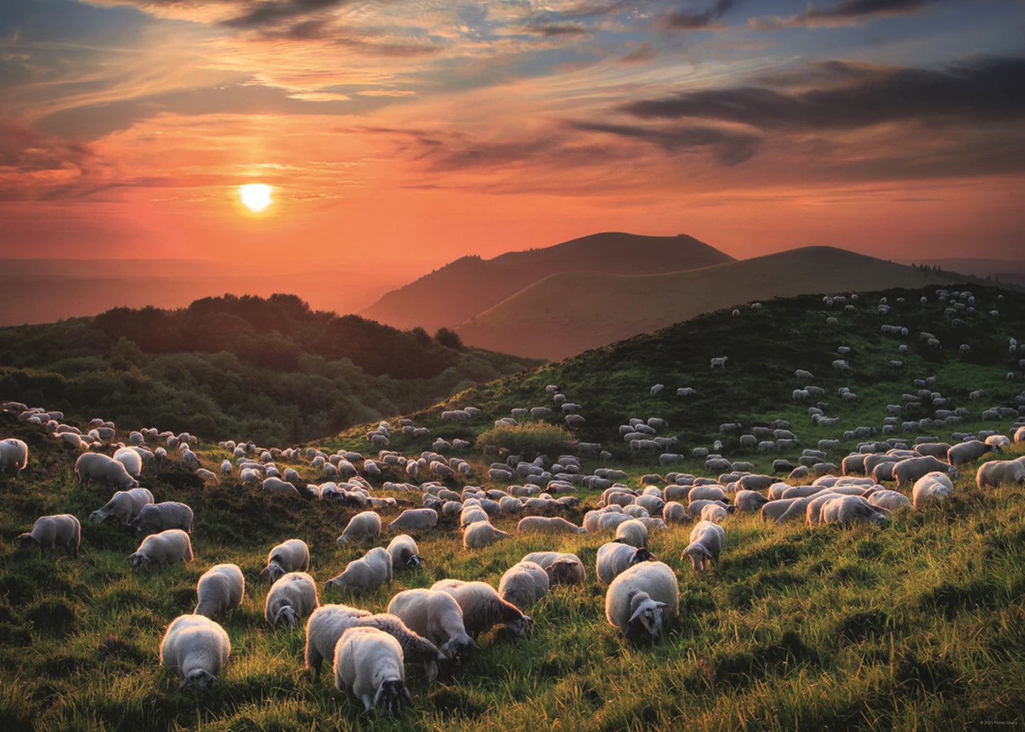 Moutons et Volcans Standard 1000 pièces
