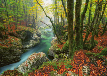 LITTLE BROOK 1000 PEZZI