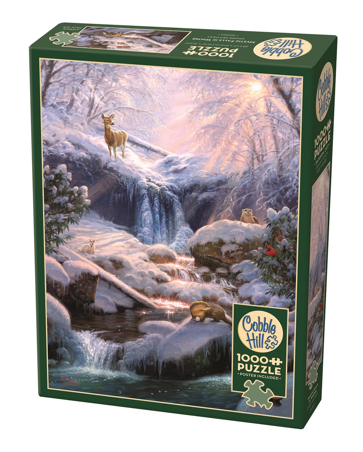 MYSTIC FALLS EN HIVER 1000 PIÈCES