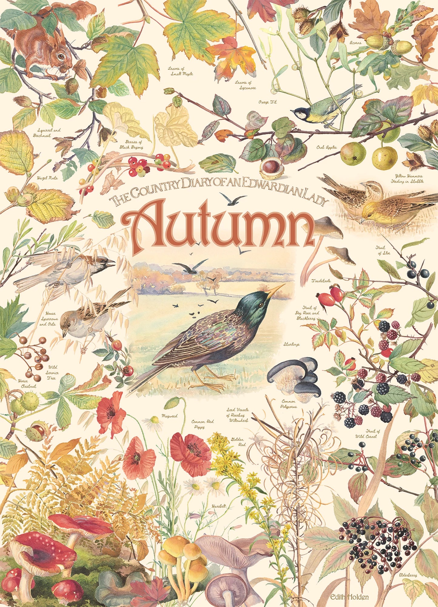 DIARIO: AUTUNNO 1000 PARTI