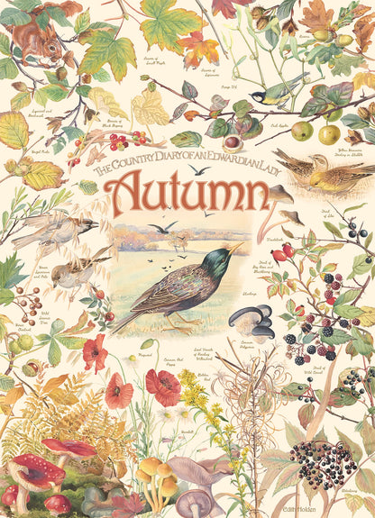 DIARIO: AUTUNNO 1000 PARTI