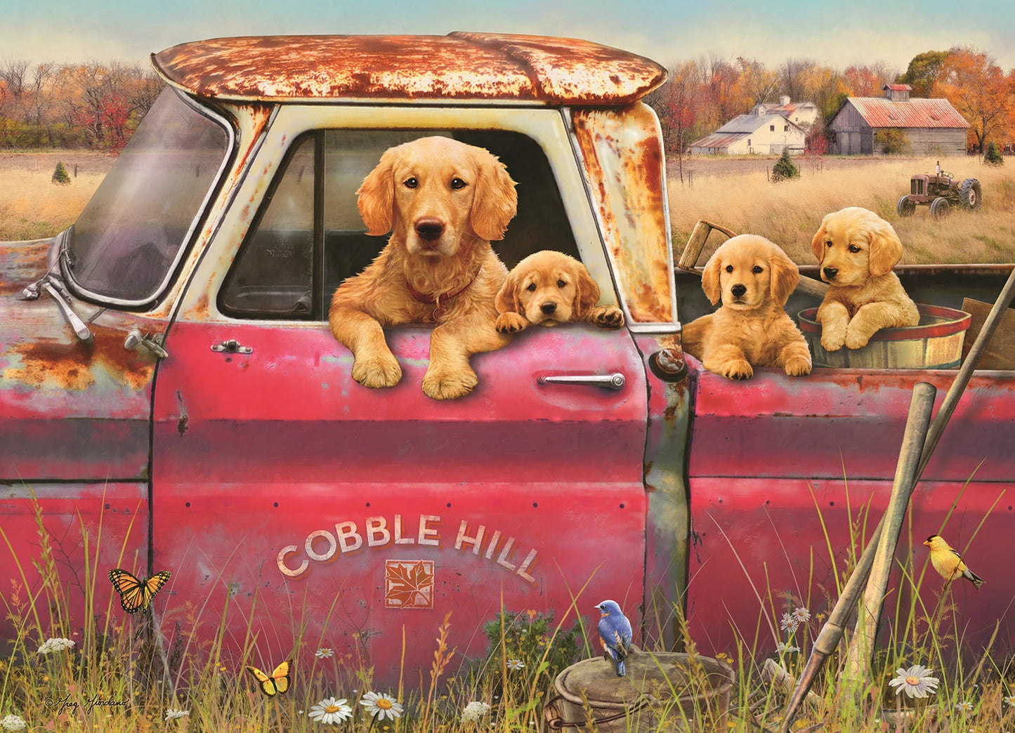 COBBLE HILL FARM 1000 PEZZI
