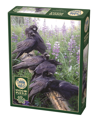 RAVEN RENDEZVOUS 1000 PEZZI