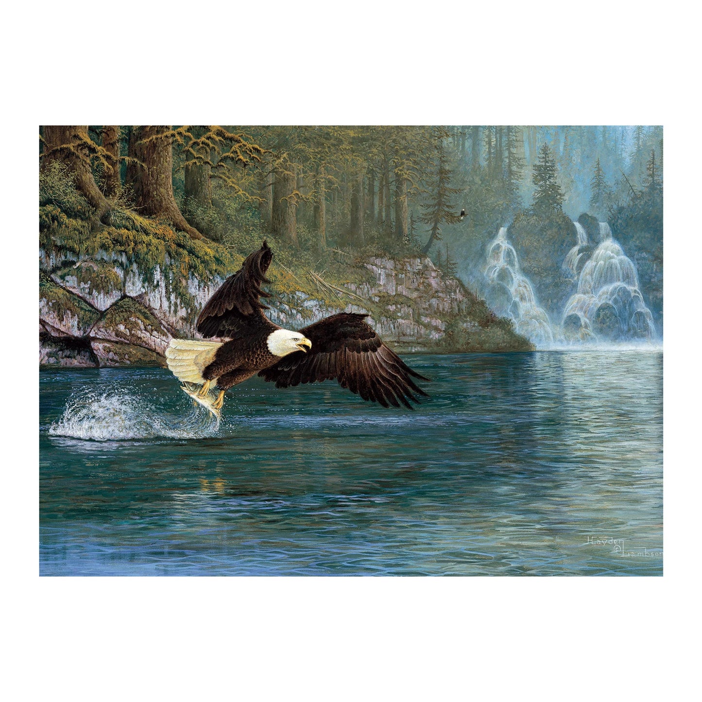 AIGLE CHAUVE 1000 PIÈCES