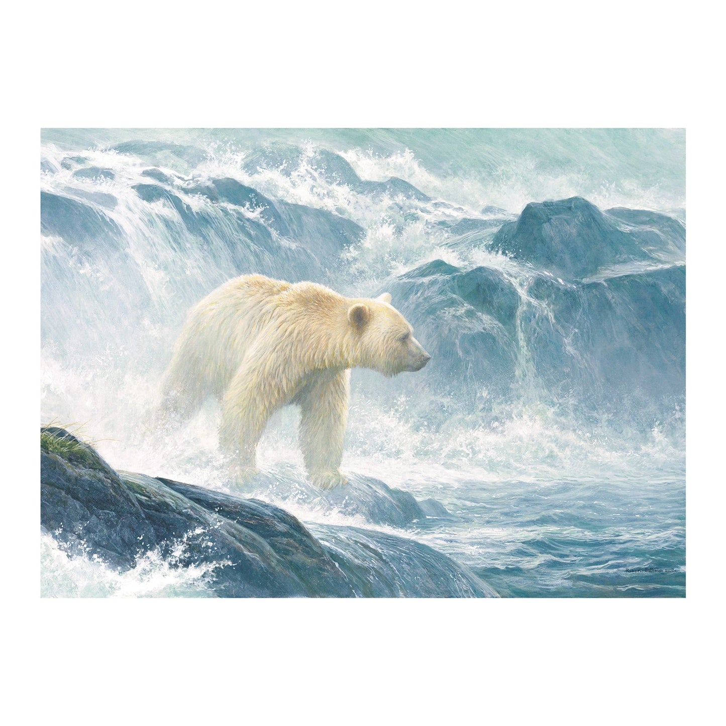 OURS KERMODE ENTRE LES VAGUES 500 PIÈCES