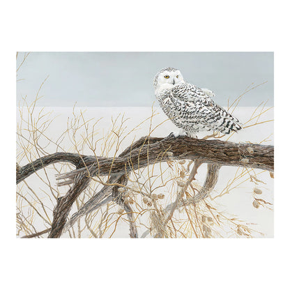 HIBOU HARFANG DES NEIGES SUR UNE BRANCHE, 500 PIÈCES