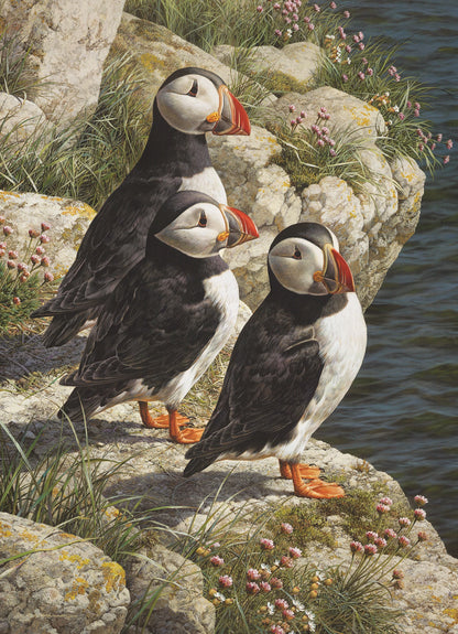 PUFFIN 500 PIÈCES