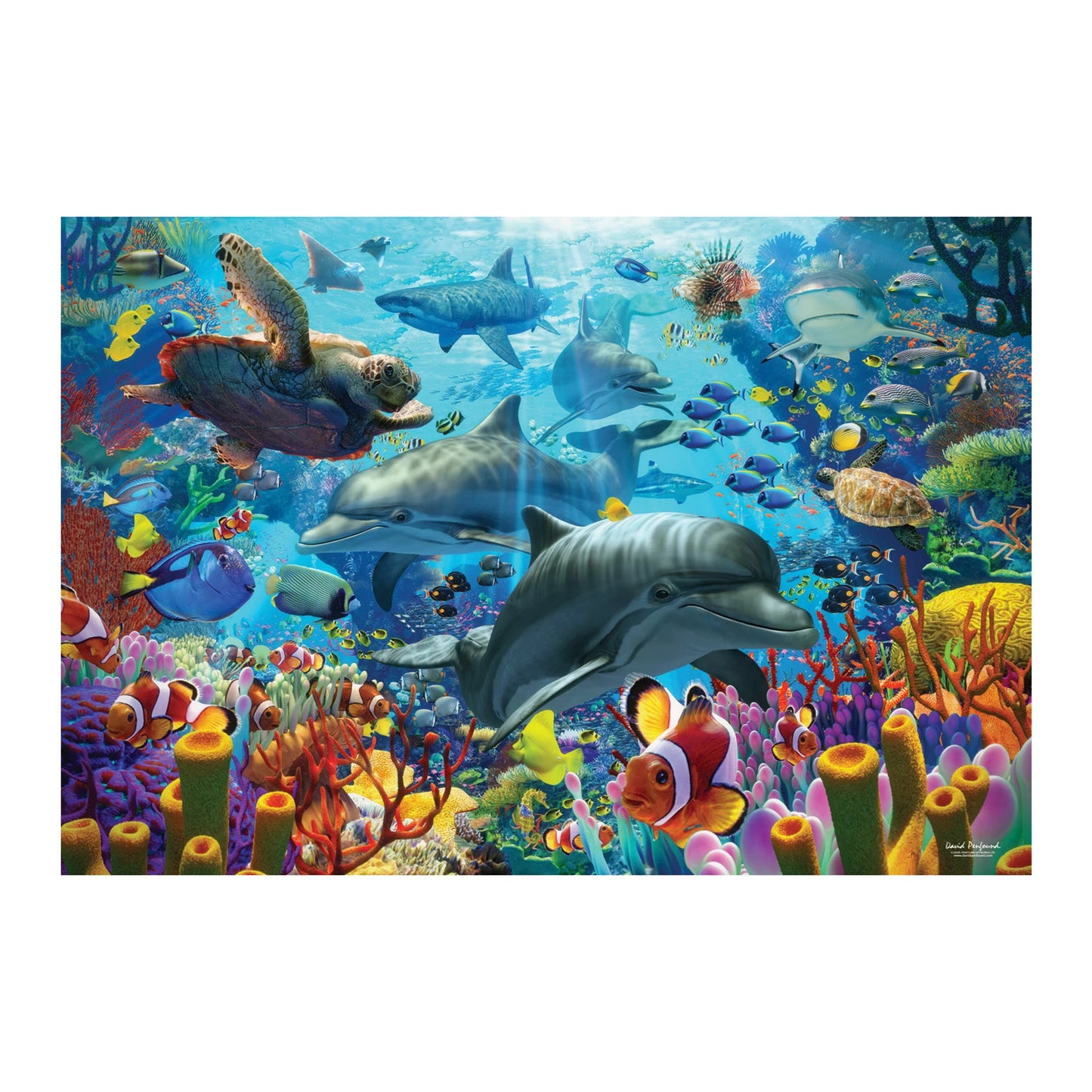CORAL SEA 2000 PEZZI