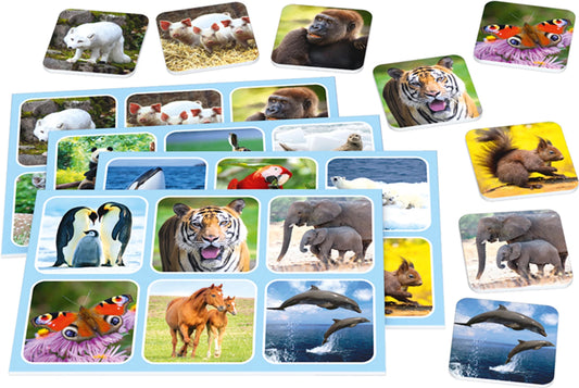 ZOO LOTTO (SCATOLA DI METALLO) (MULTILINGUA)