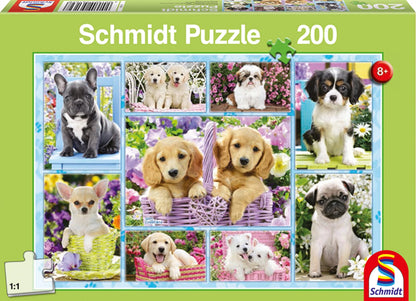 CHIOTS 200 PIÈCES