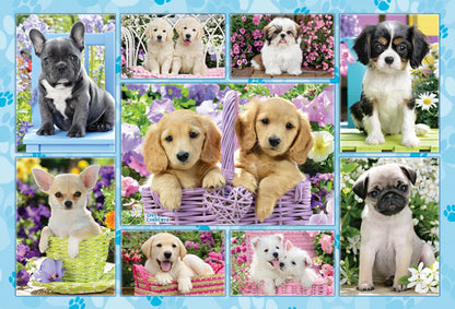 CHIOTS 200 PIÈCES