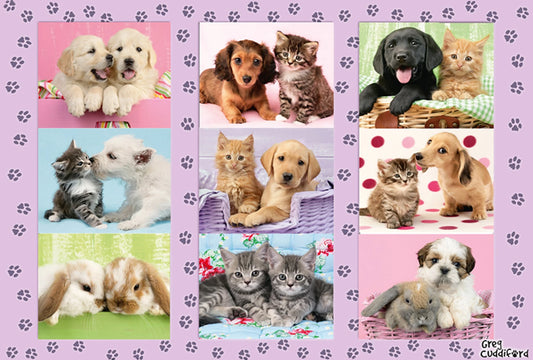 I MIEI AMICI ANIMALI 100 PEZZI