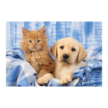 MES ADORABLES CHATONS 3X48 PIÈCES