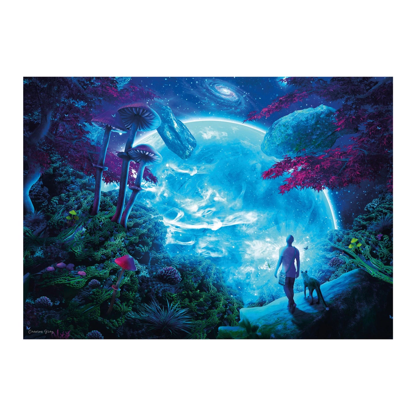 SKY FANTASY 1000 PEZZI