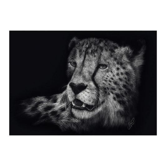 CHEETAH: NEL SEGNO DELLA GRAZIA (1000 PEZZI)
