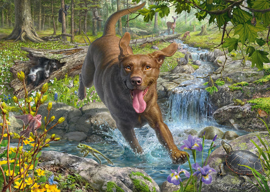 PASSEGGIATA PRIMAVERILE CON LABRADOR RETRIEVER 1000 PEZZI